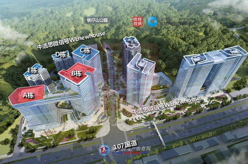 深圳新盘开发商破产重整警示录 投资兴办实业的风险与应对